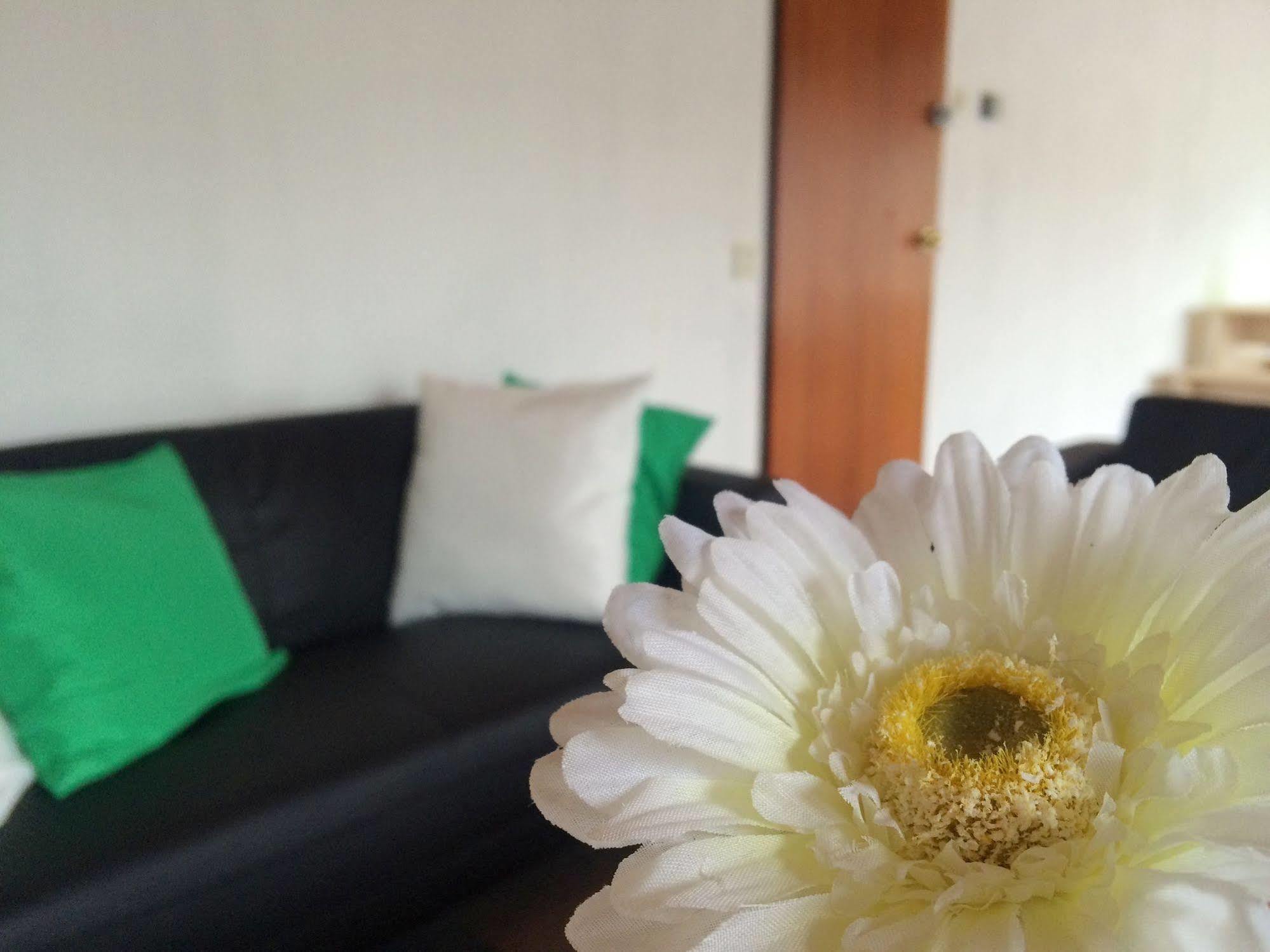 The Budget Hotel Hazerswoude-Rijndijk 외부 사진